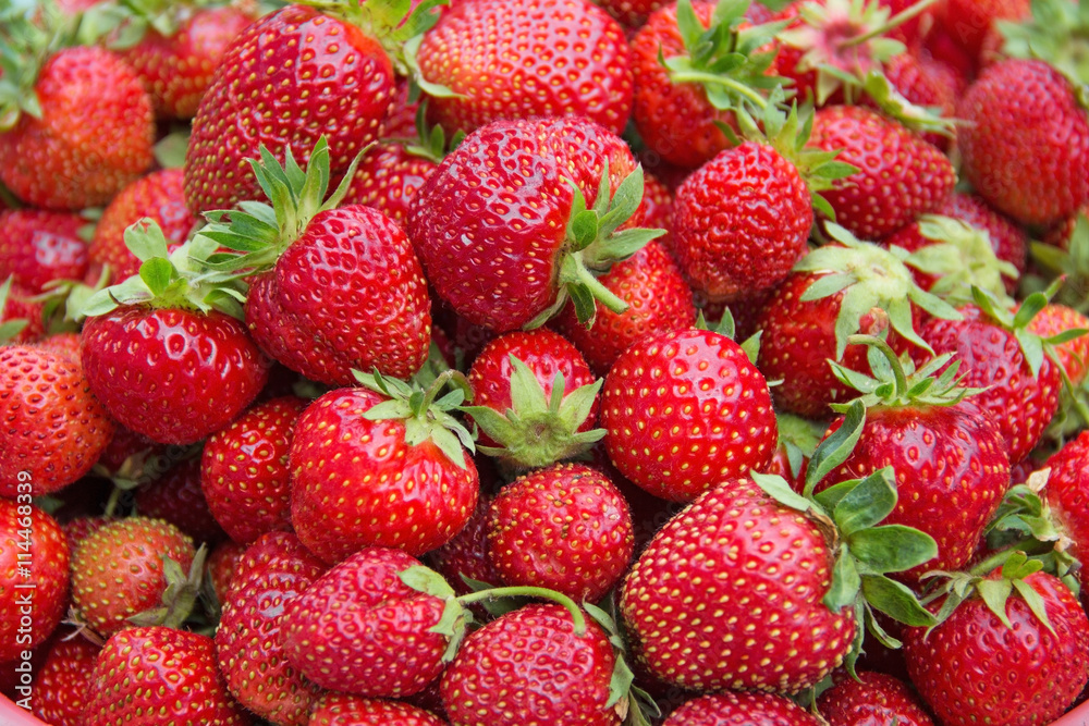 Background from freshly harvested strawberries. Background from freshly harvested strawberries.