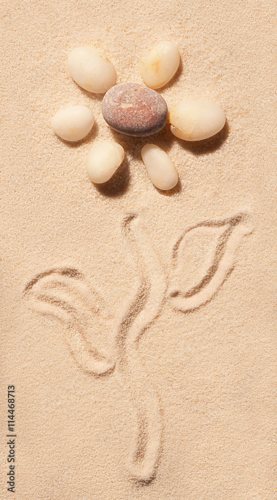 Flower of sea stones drawn on sand. Summer beach background Flower of sea stones drawn on sand. Summer beach background