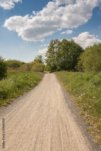 Dirt road on a farm leading away from viewer.