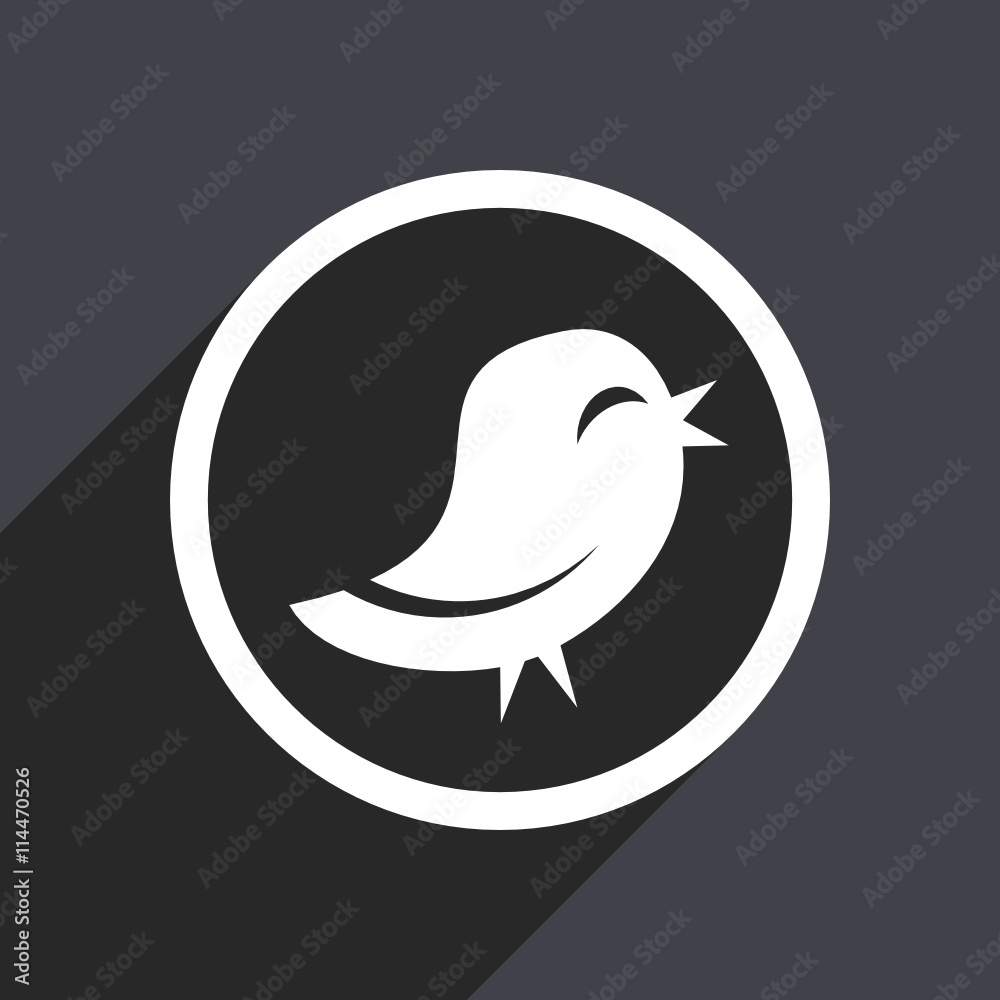 Flat design gray web twitter vector icon Flat design gray web twitter vector icon