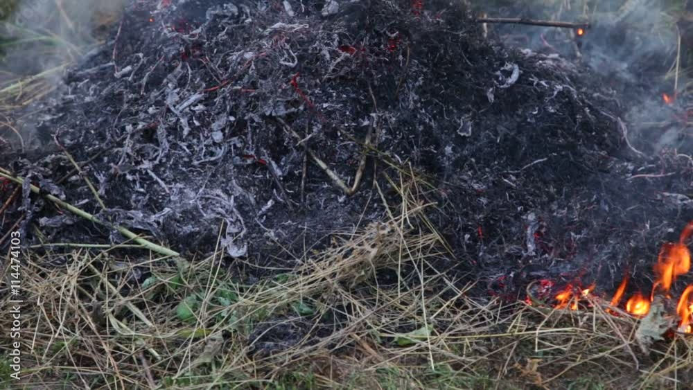 The dry grass in the field burns inflated by a wind