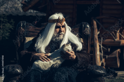 Εκτύπωση καμβά Old druid sits in chair
