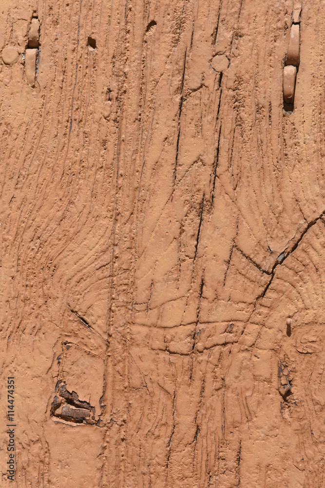 Fototapeta premium wood with knots