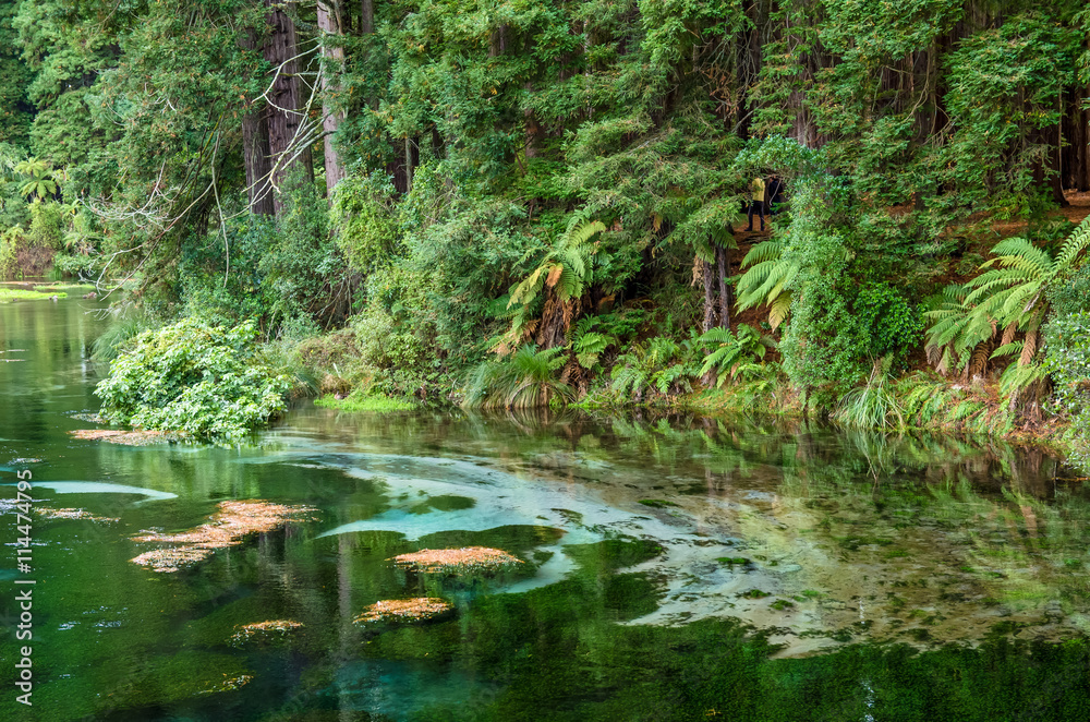 Hamurana Springs is the deepest natural fresh water spring on the North Island of New Zealand. Hamurana Springs is the deepest natural fresh water spring on the North Island of New Zealand.