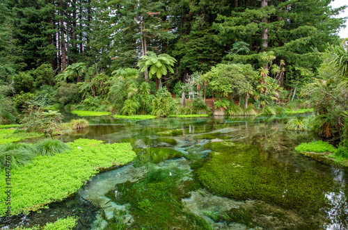 Hamurana Springs is the deepest natural fresh water spring on the North Island of New Zealand. photo