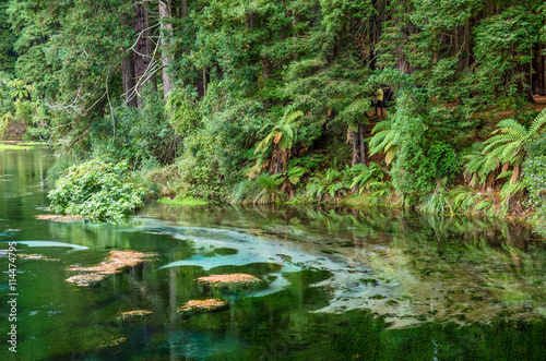Hamurana Springs is the deepest natural fresh water spring on the North Island of New Zealand.