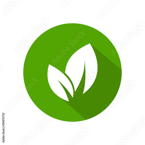 Leaf round green icon.