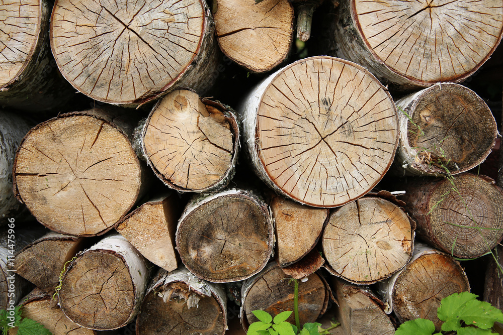 Naklejka premium Wood texture wood fuel