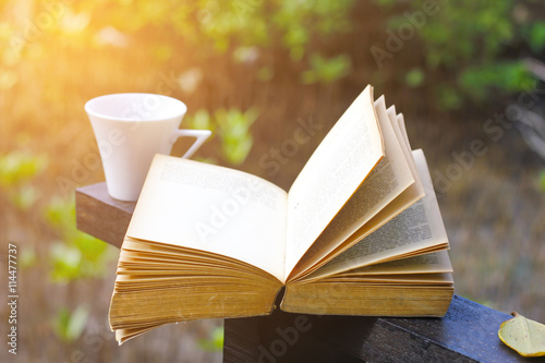 Stock Photo:.old book on the bench in the forest park