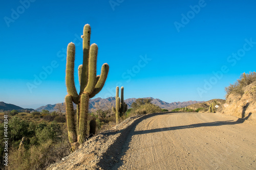 Andean dirt road