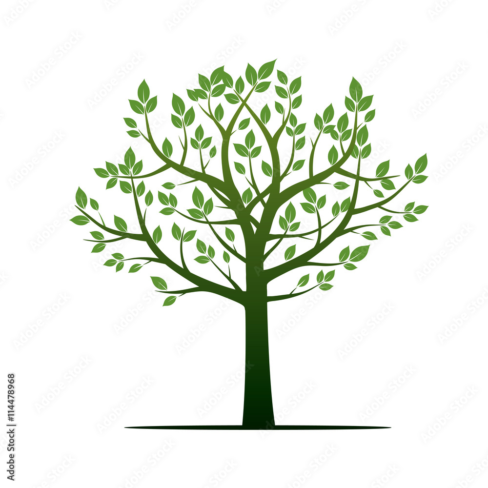 Green Tree. Vector Illustration. Green Tree. Vector Illustration.
