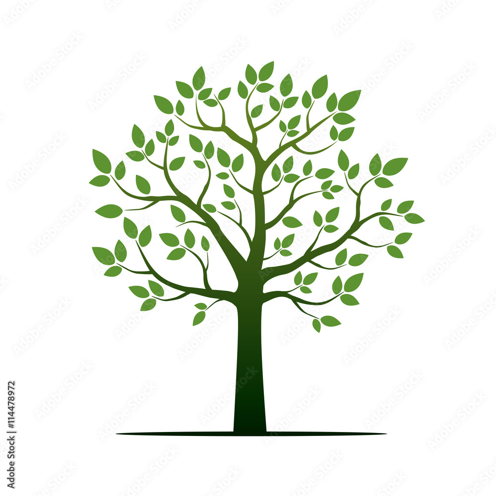 Obraz premium Green Tree. Vector Illustration.