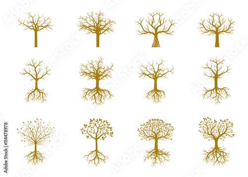 Set of Golden Trees and Roots. Vector Illustration.