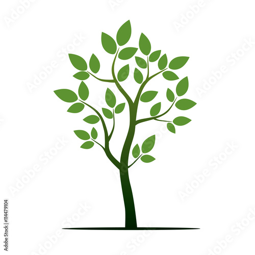 Green Tree. Vector Illustration.