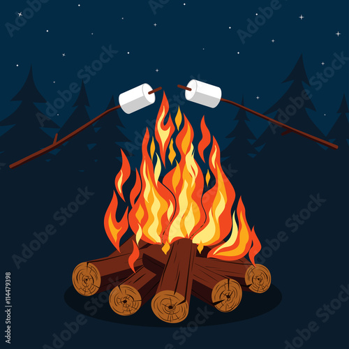 Bonfire with marshmallow 
