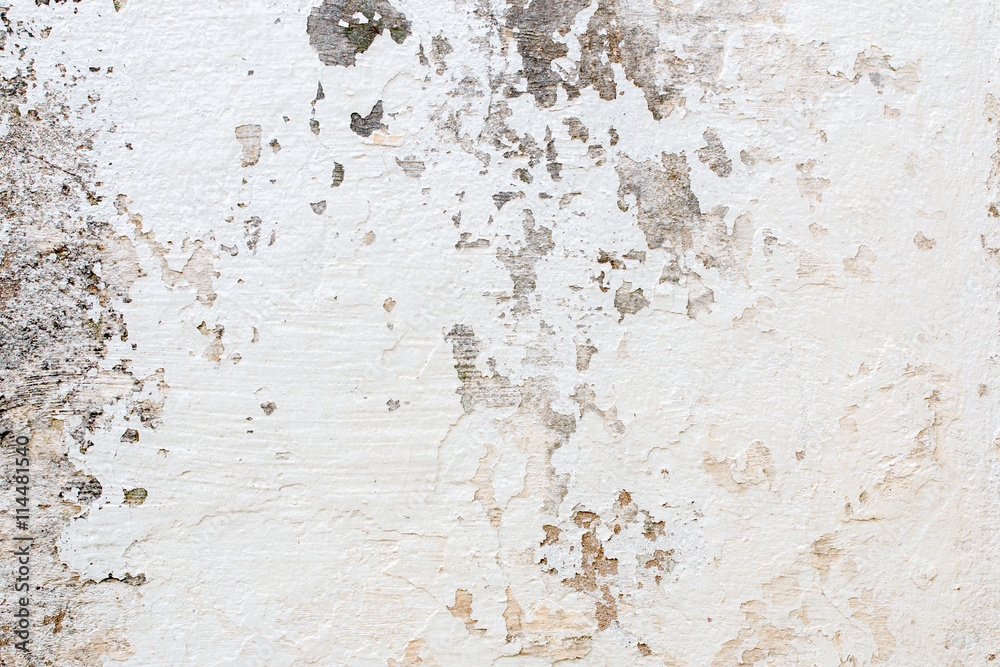 Obraz premium white concrete wall texture