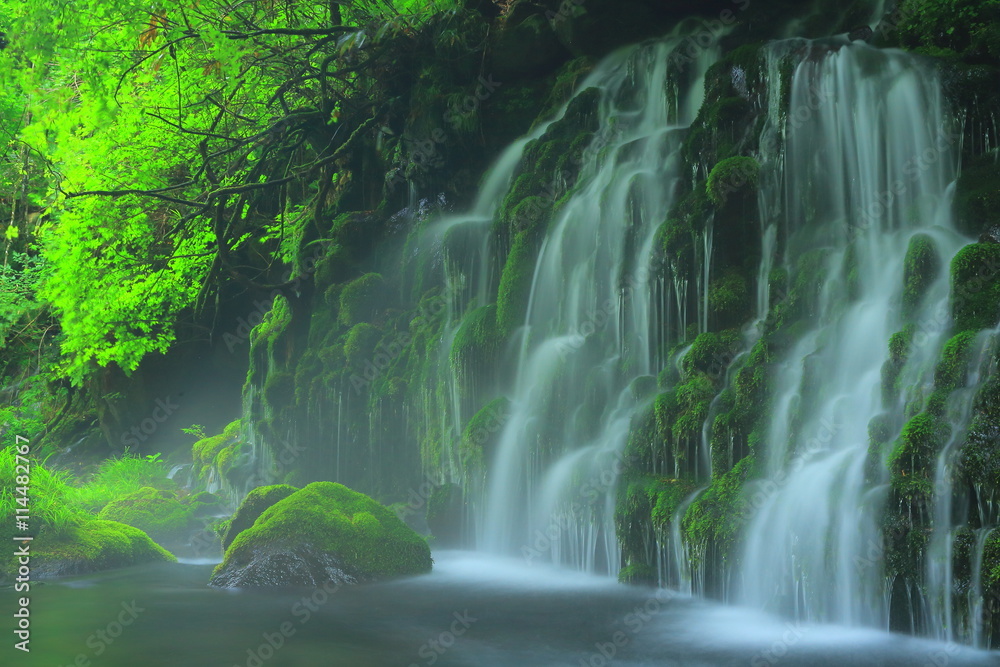 Obraz premium 夏の元滝伏流水