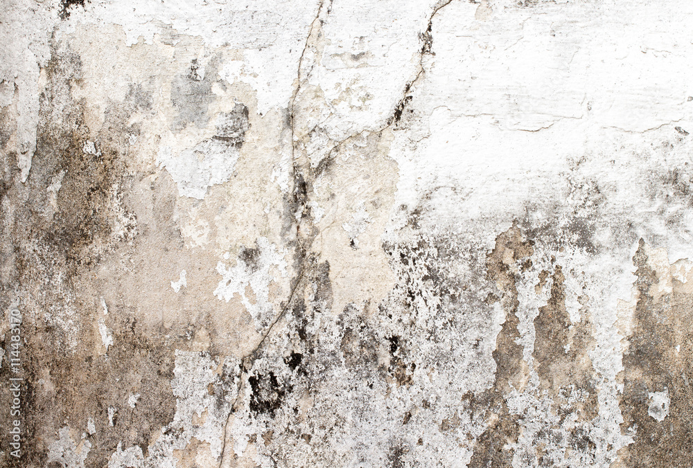 Obraz premium white concrete wall texture