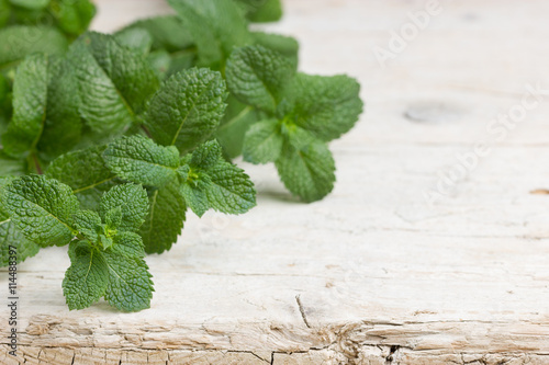 Freshly harvested peppermint on wooden rustic background