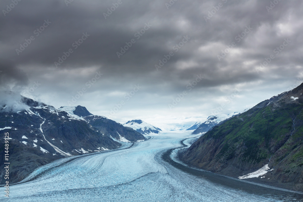 Fototapeta premium Salmon glacier
