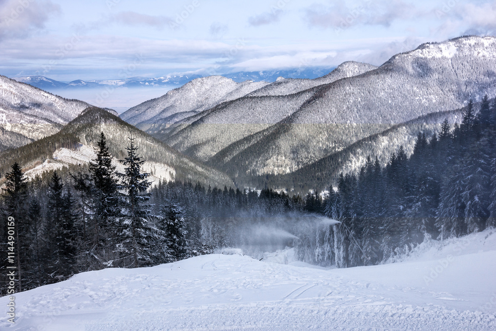 winter mountain forest snow landscape