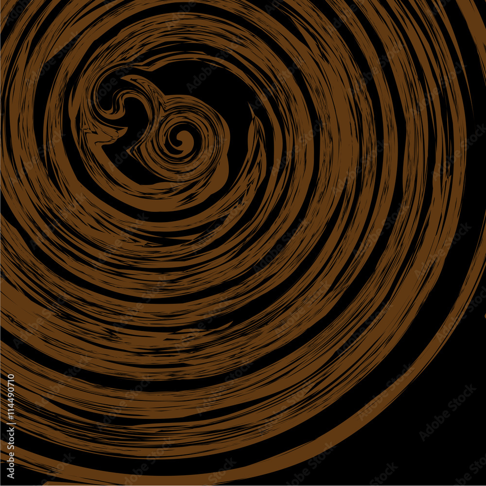Wood cross section background Wood cross section background