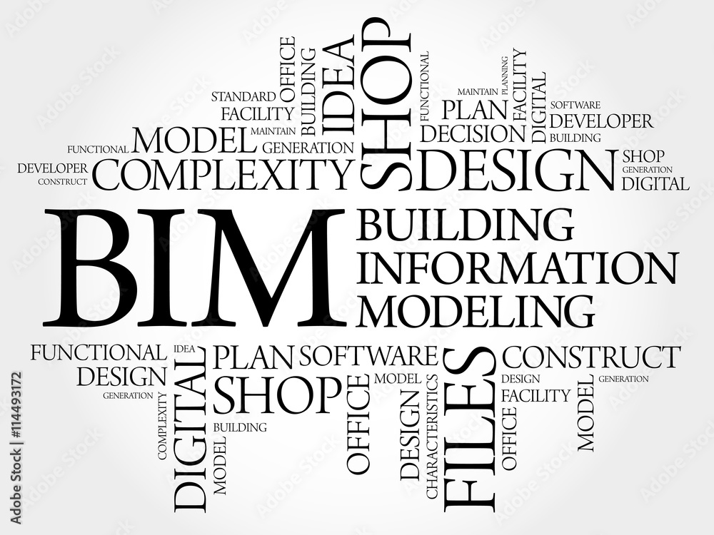 Fototapeta premium BIM - building information modeling word cloud, business concept