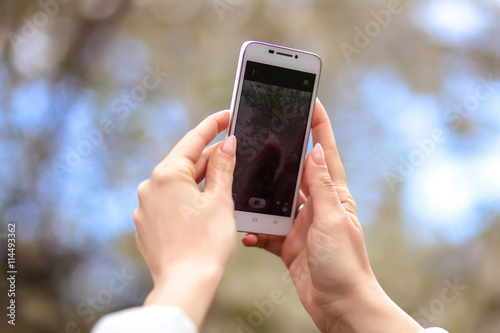 woman holds a smartphone telephone over blossoming spring tree background, soft focus, close up