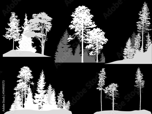 set of light fir trees on black