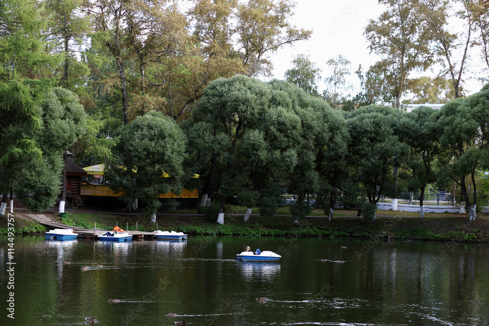 water pond through the trees in the park