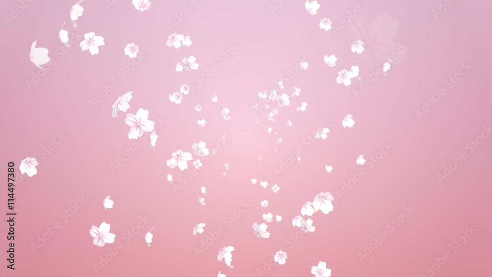 Spreading 3D pink color Flower Heads - Motion background Spreading 3D pink color Flower Heads - Motion background