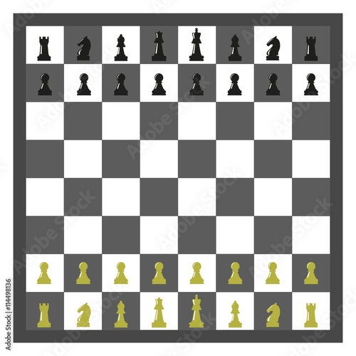 chessboard vector image