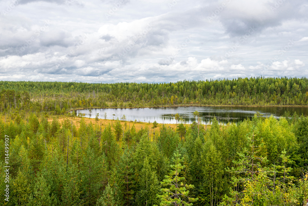 autumn landscape of pine forest in Russky Sever National Park, n