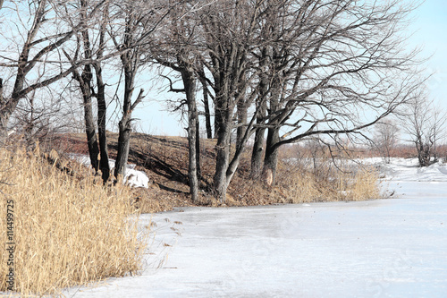 Wallpaper Mural Floating of ice on the river Torontodigital.ca
