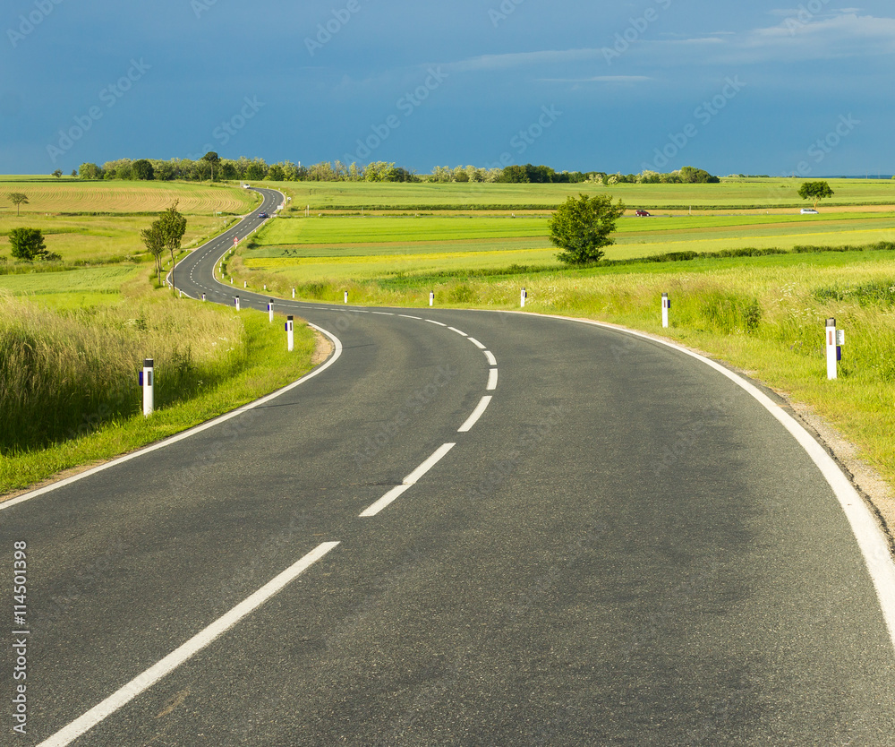 Country road winding through green meadow