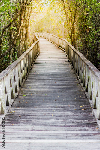 wood bridge through the mangrove forest with sun light at the en