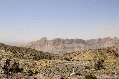Desert rock panorama