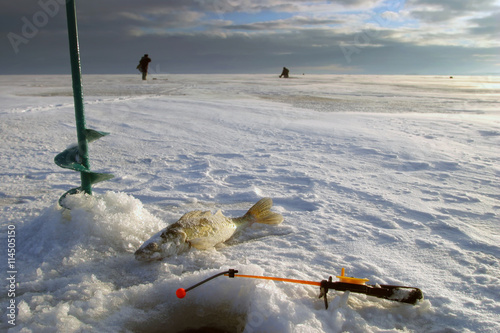 fishing photo