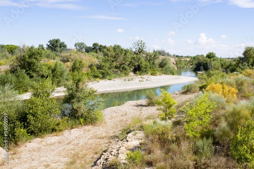 Trees and Gállego river where it passes through Zaragoza in summer