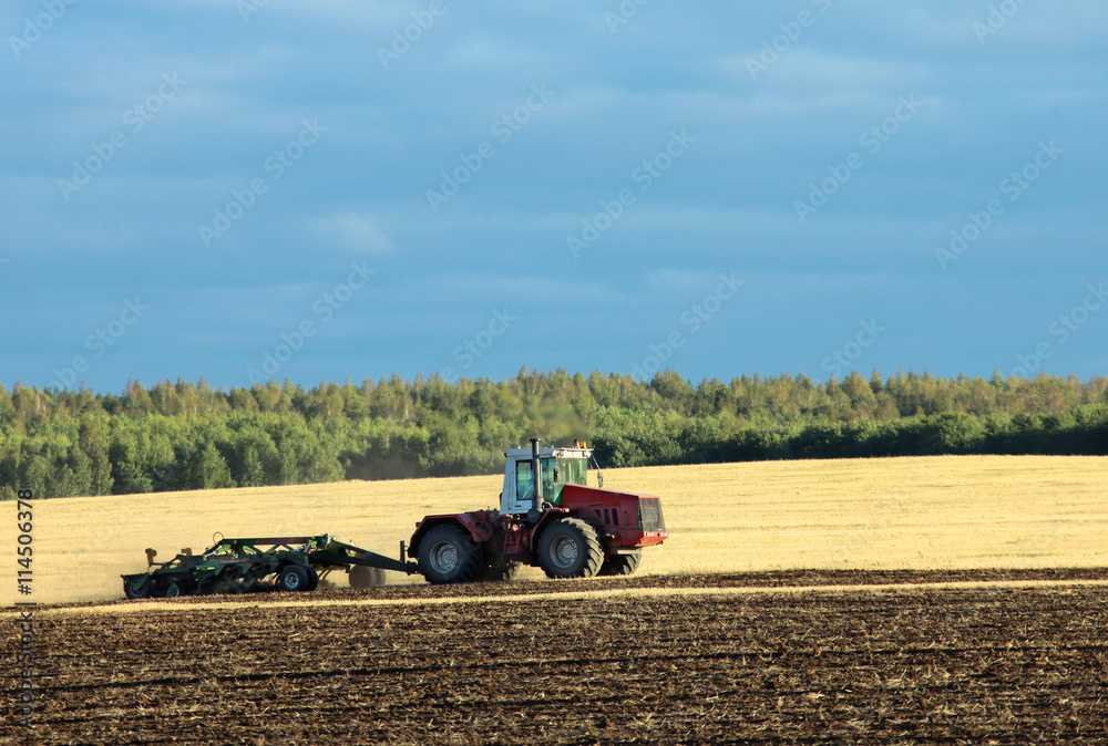 Obraz premium cultivation