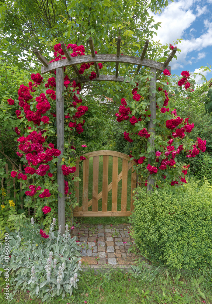 Fototapeta premium Gartentür mit Rosenbogen