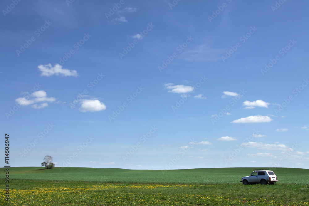 Naklejka premium long summer walks on Russian flowering meadows