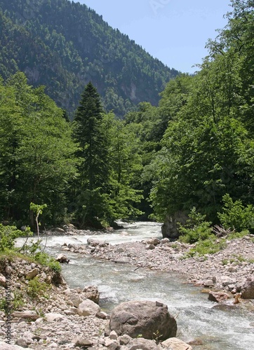 The mountain river