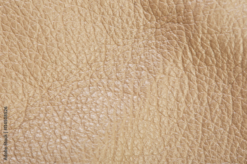 Obraz premium leather texture