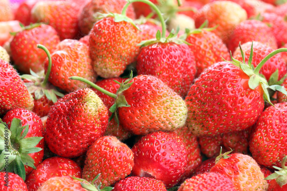 crop of strawberries crop of strawberries