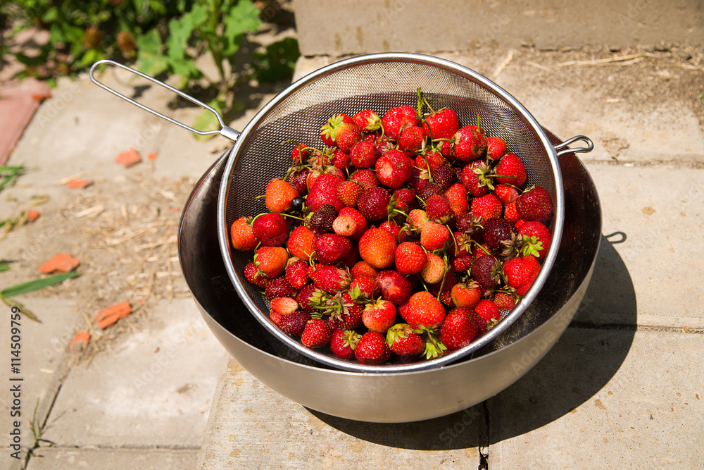 Metal bowl with ripe strawberries on the floor