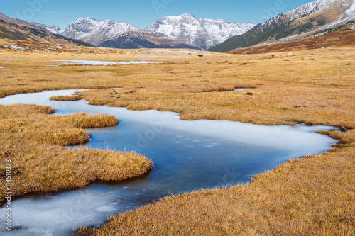 Autumn meadow with frozen river, ski resort of Baqueira Beret, S photo