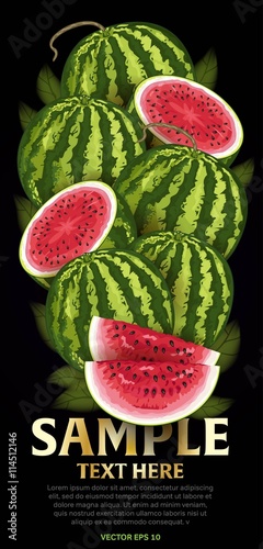 Watermelon fruit mix with leaves on black background vector illustration. Organic vegetarian product. Healthy food.