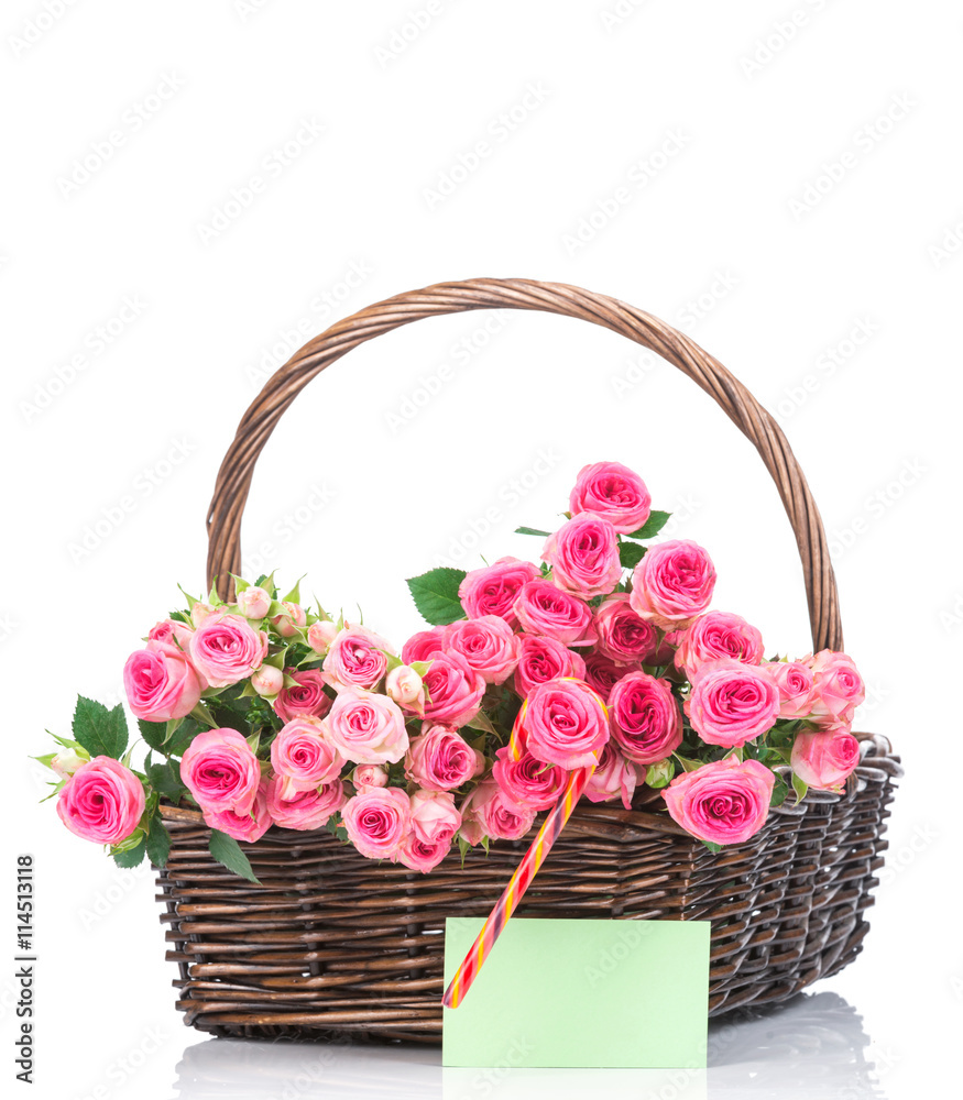 Roses in the basket on white background Roses in the basket on white background