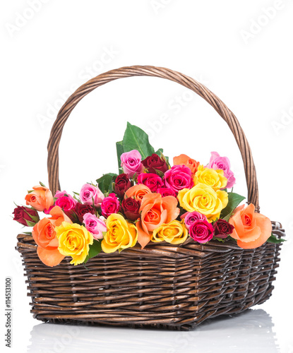 Roses in the basket on white background